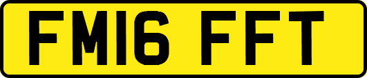 FM16FFT