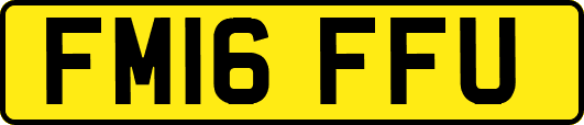 FM16FFU
