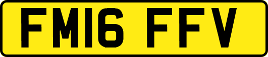 FM16FFV