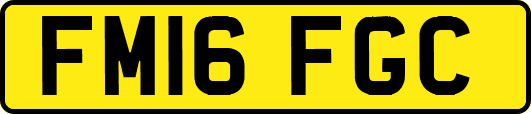 FM16FGC