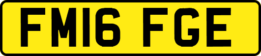 FM16FGE
