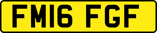FM16FGF