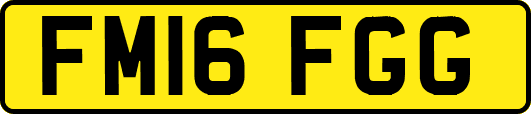 FM16FGG