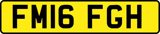 FM16FGH