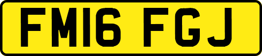 FM16FGJ