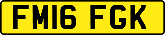 FM16FGK