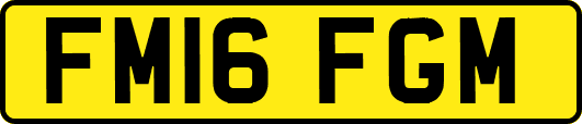 FM16FGM