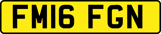 FM16FGN