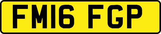 FM16FGP