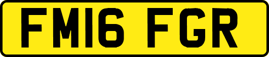 FM16FGR