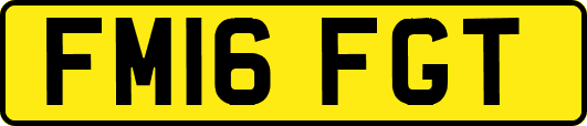 FM16FGT