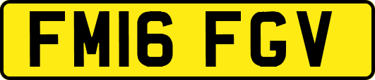 FM16FGV