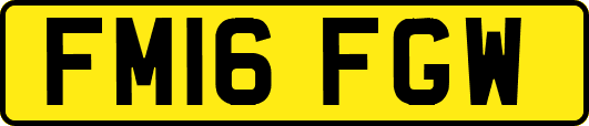 FM16FGW