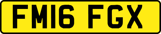 FM16FGX