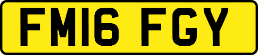 FM16FGY