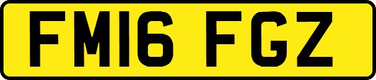 FM16FGZ