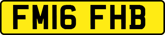 FM16FHB