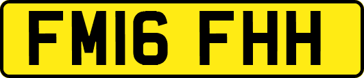 FM16FHH