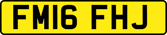 FM16FHJ