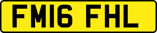 FM16FHL
