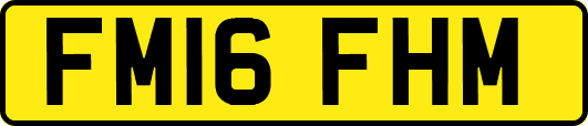 FM16FHM