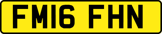 FM16FHN