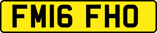 FM16FHO
