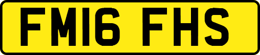 FM16FHS