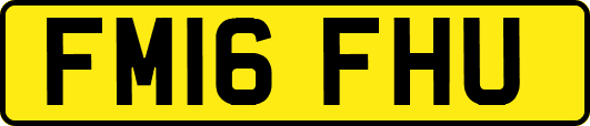 FM16FHU