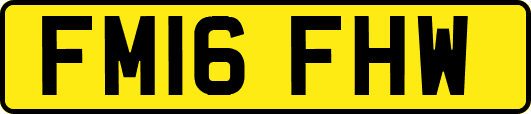 FM16FHW
