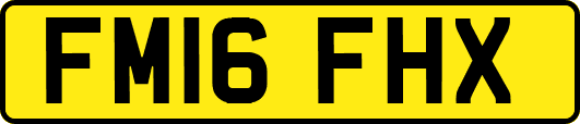 FM16FHX