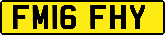 FM16FHY