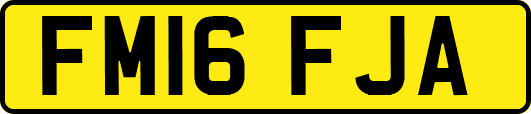 FM16FJA