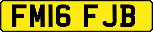 FM16FJB