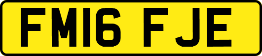 FM16FJE