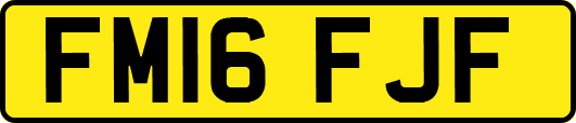 FM16FJF