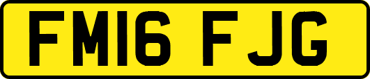 FM16FJG