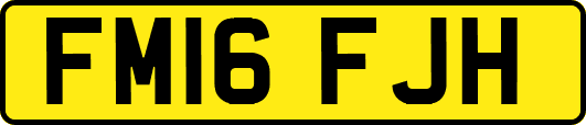 FM16FJH