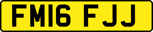FM16FJJ