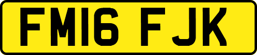 FM16FJK