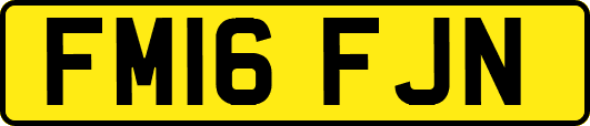 FM16FJN
