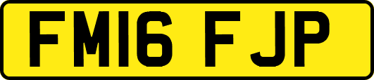FM16FJP