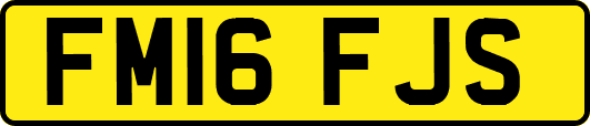 FM16FJS