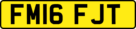 FM16FJT