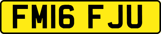 FM16FJU