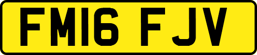 FM16FJV