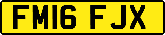 FM16FJX