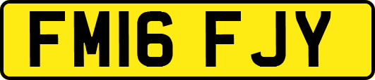 FM16FJY
