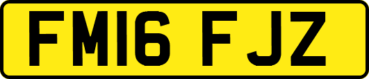 FM16FJZ