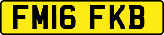FM16FKB